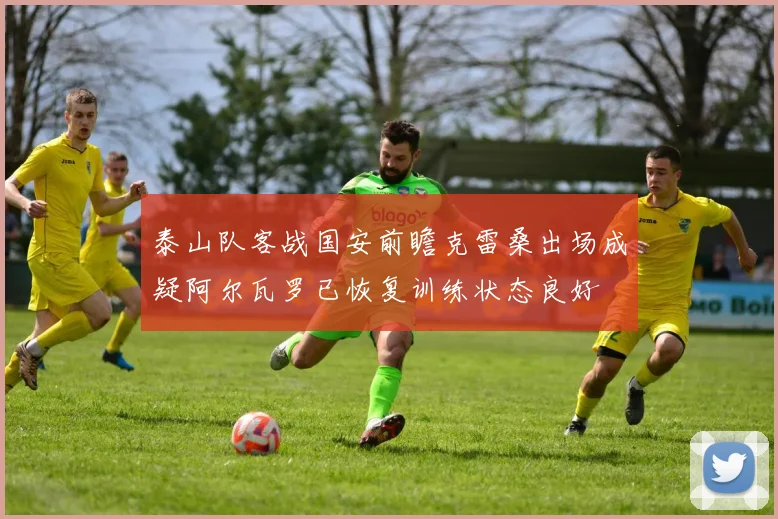 泰山队客战国安前瞻克雷桑出场成疑阿尔瓦罗已恢复训练状态良好